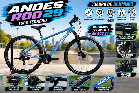 MTB ROD 29 ANDES CAJA